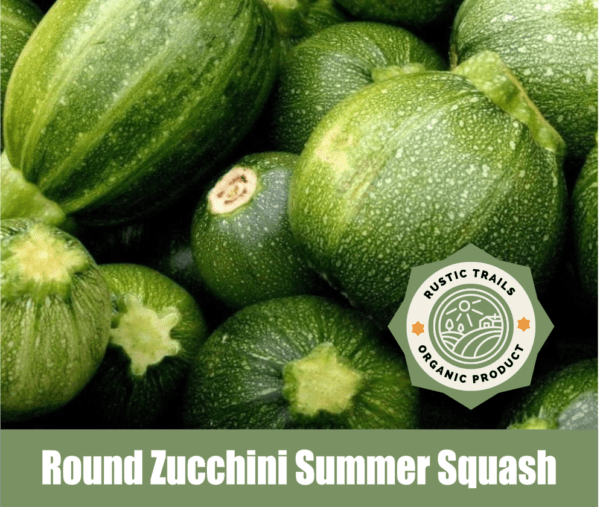 Round Zucchini, Summer Squash